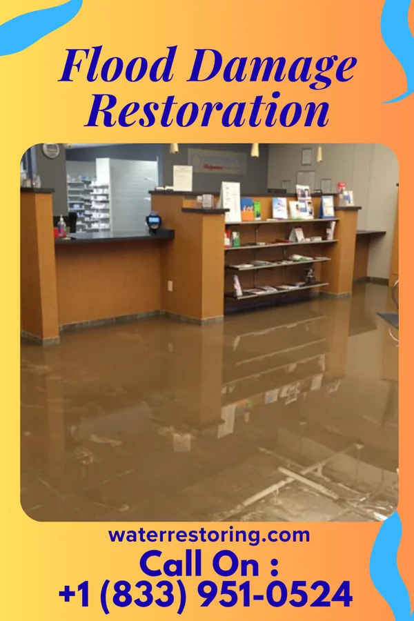 Flood Damage Restoration in Elizabethtown, IL